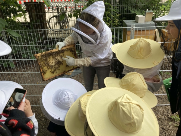 kita-kinderzimmer-begstedter-scheune-hamburg-bergstedt-bienen-kinderzimmer1