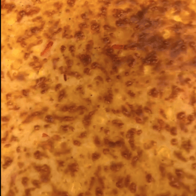 Nahaufnahme von einem herzhaften Kuchen aus der Kita kinderzimmer Eißendorf in Hamburg Eißendorf