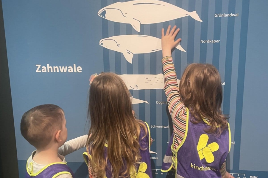 Vorschulkinder aus der Kita kinderzimmer Hamburg machen einen Ausflug ins zoologische Museum
