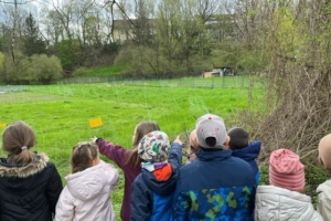 Kinder schauen auf eine Wiese in der Kita kinderzimmer Hamburg